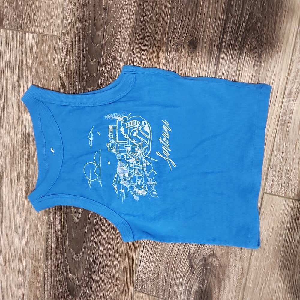 Blue crop top, beachy grafics